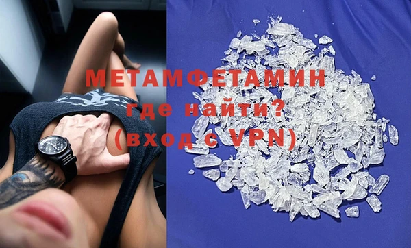 прущие грибы Иннополис