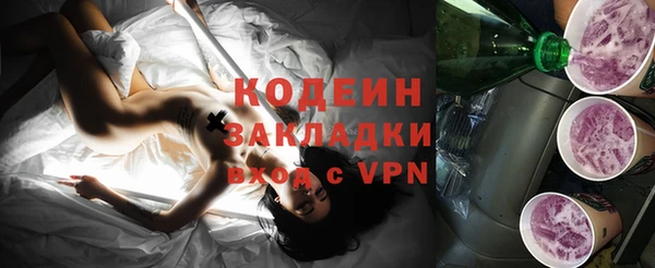 прущие грибы Иннополис