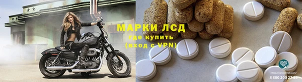 прущие грибы Иннополис