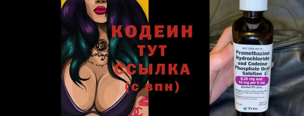 ГАЛЛЮЦИНОГЕННЫЕ ГРИБЫ Инта