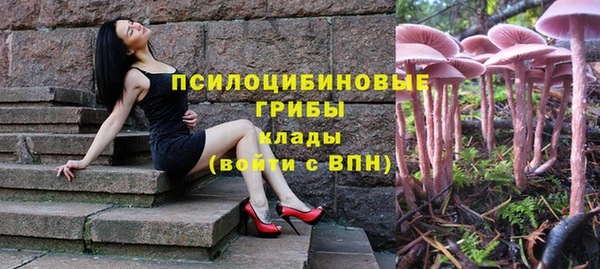 ГАЛЛЮЦИНОГЕННЫЕ ГРИБЫ Инта