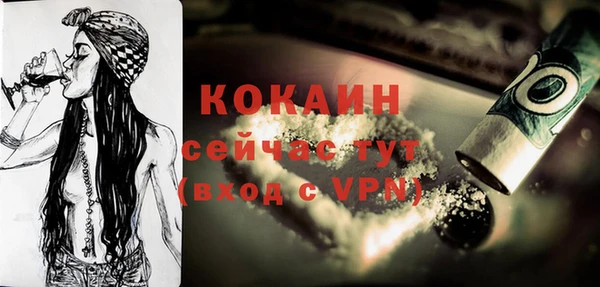 ГАЛЛЮЦИНОГЕННЫЕ ГРИБЫ Инта