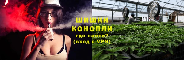 ГАЛЛЮЦИНОГЕННЫЕ ГРИБЫ Инта